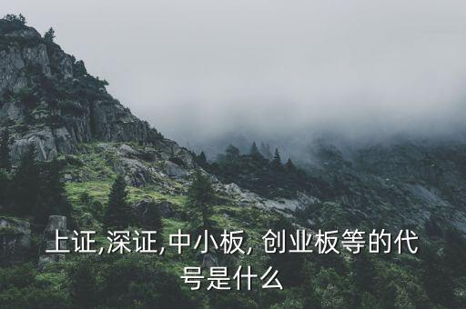 上證,深證,中小板, 創(chuàng)業(yè)板等的代號是什么