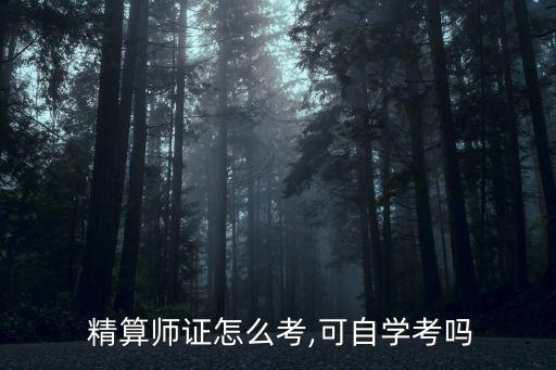  精算師證怎么考,可自學考嗎