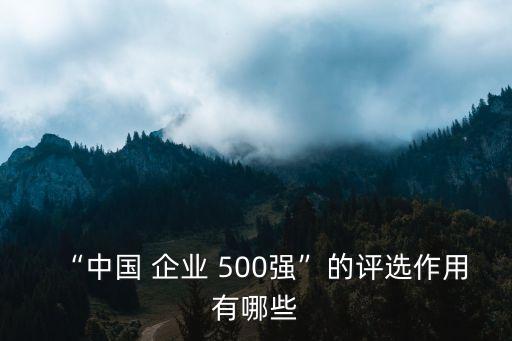 “中國 企業(yè) 500強”的評選作用有哪些