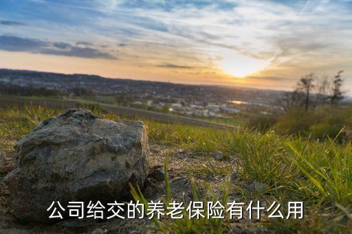 公司給交的養(yǎng)老保險(xiǎn)有什么用