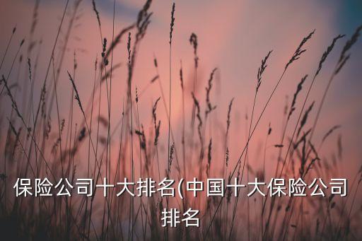 保險(xiǎn)公司十大排名(中國(guó)十大保險(xiǎn)公司排名