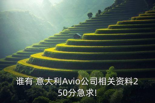 誰(shuí)有 意大利Avio公司相關(guān)資料250分急求!