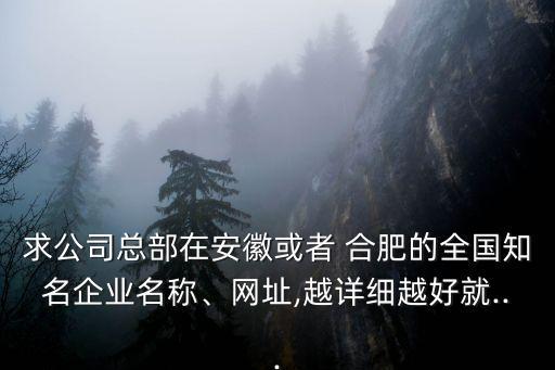 求公司總部在安徽或者 合肥的全國知名企業(yè)名稱、網(wǎng)址,越詳細(xì)越好就...