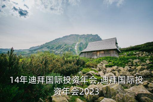 2014年迪拜國(guó)際投資年會(huì),迪拜國(guó)際投資年會(huì)2023