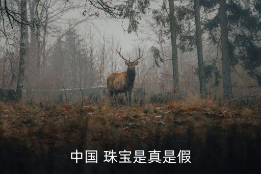 中國珠寶不合格,珠寶標(biāo)簽不合格怎么罰款