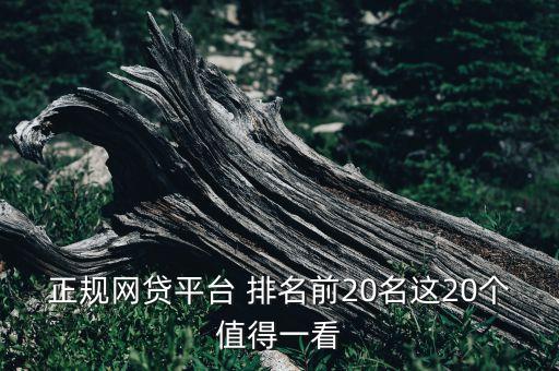 正規(guī)網(wǎng)貸平臺(tái) 排名前20名這20個(gè)值得一看