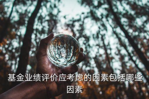  基金業(yè)績(jī)?cè)u(píng)價(jià)應(yīng)考慮的因素包括哪些因素