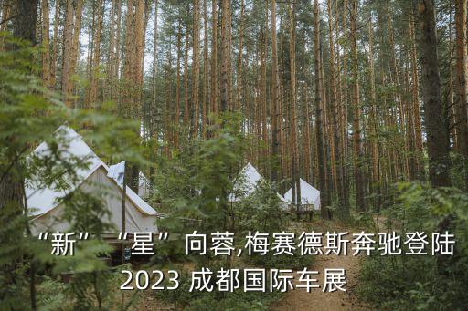 “新”“星”向蓉,梅賽德斯奔馳登陸2023 成都國際車展