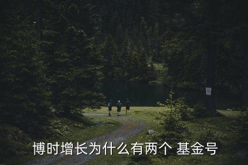  博時(shí)增長(zhǎng)為什么有兩個(gè) 基金號(hào)