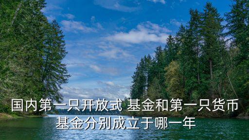 國(guó)內(nèi)第一只開放式 基金和第一只貨幣 基金分別成立于哪一年