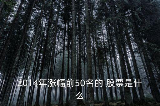 2014年漲幅前50名的 股票是什么