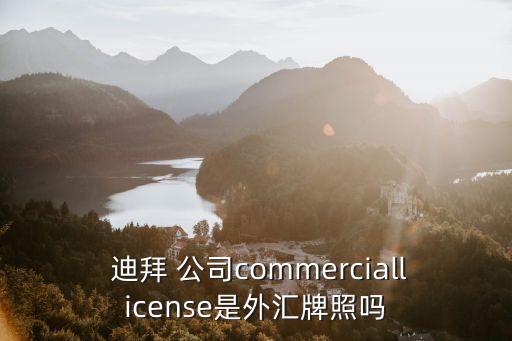  迪拜 公司commerciallicense是外匯牌照嗎