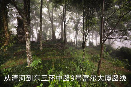 從清河到東三環(huán)中路9號(hào)富爾大廈路線