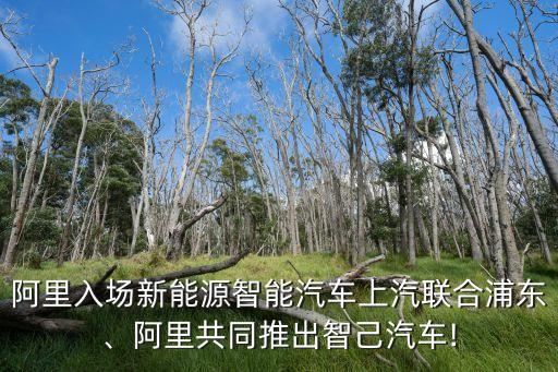 阿里入場新能源智能汽車上汽聯(lián)合浦東、阿里共同推出智己汽車!