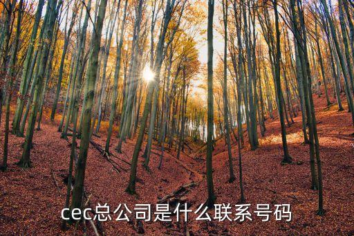 cec總公司是什么聯(lián)系號碼