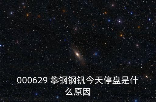 000629 攀鋼鋼釩今天停盤(pán)是什么原因