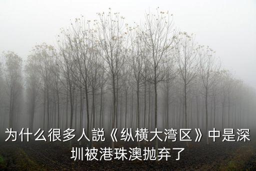 為什么很多人説《縱橫大灣區(qū)》中是深圳被港珠澳拋棄了