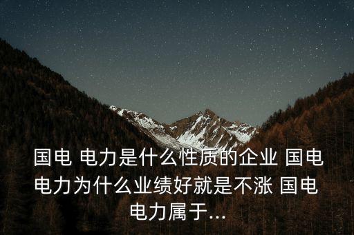  國(guó)電 電力是什么性質(zhì)的企業(yè) 國(guó)電 電力為什么業(yè)績(jī)好就是不漲 國(guó)電 電力屬于...