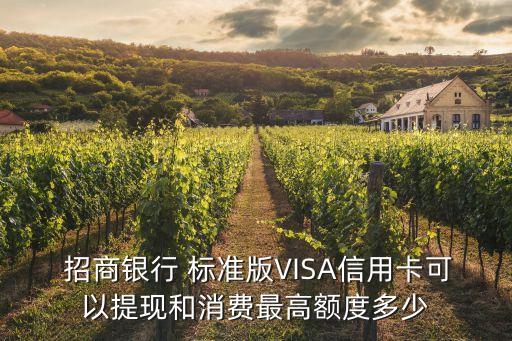 visa標準金卡招商銀行是多少錢,招商銀行VISA金卡權益