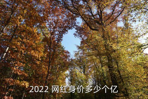 中國網(wǎng)紅收入排行榜,2023年中國網(wǎng)紅收入排行榜