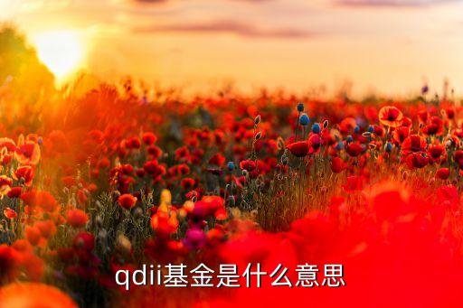 qdii基金是什么意思