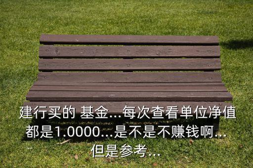  建行買(mǎi)的 基金…每次查看單位凈值都是1.0000…是不是不賺錢(qián)啊…但是參考...