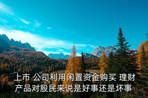  上市 公司利用閑置資金購買 理財產(chǎn)品對股民來說是好事還是壞事