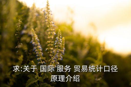 求:關(guān)于 國際 服務(wù) 貿(mào)易統(tǒng)計口徑原理介紹