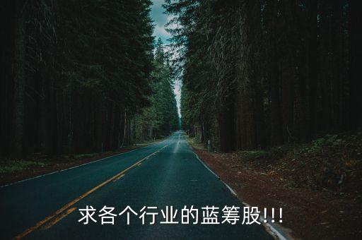 求各個行業(yè)的藍籌股!!!