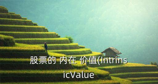 股票的 內(nèi)在 價(jià)值(IntrinsicValue