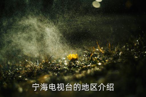 寧海電視臺的地區(qū)介紹