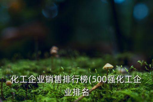 化工企業(yè)銷售排行榜(500強(qiáng)化工企業(yè)排名