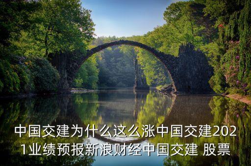 中國交建為什么這么漲中國交建2021業(yè)績預(yù)報新浪財經(jīng)中國交建 股票