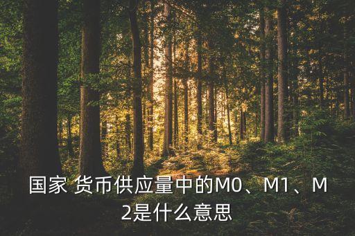 國家 貨幣供應(yīng)量中的M0、M1、M2是什么意思