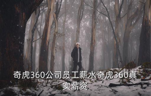 奇虎360公司員工薪水奇虎360真實(shí)薪資