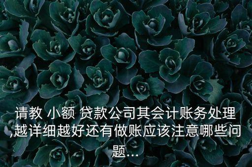 小額貸款公司如何編制財務(wù)報表,如何注冊一個小額貸款公司