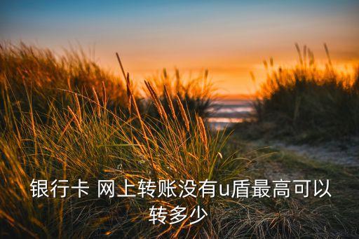  銀行卡 網(wǎng)上轉(zhuǎn)賬沒有u盾最高可以轉(zhuǎn)多少