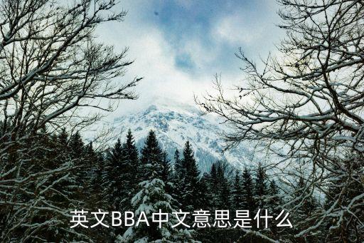 英文BBA中文意思是什么