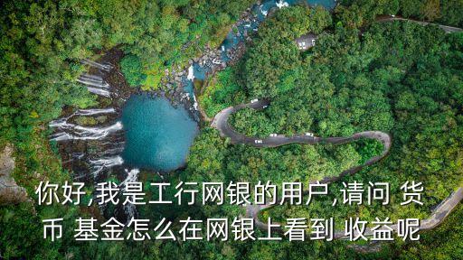 你好,我是工行網(wǎng)銀的用戶,請(qǐng)問(wèn) 貨幣 基金怎么在網(wǎng)銀上看到 收益呢