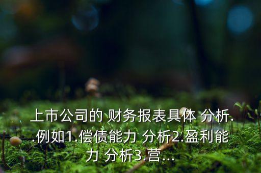 上市公司年度財(cái)務(wù)報(bào)告分析,某上市公司2020年度財(cái)務(wù)報(bào)告