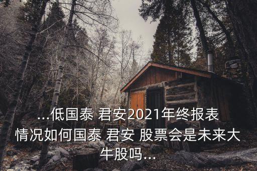 ...低國(guó)泰 君安2021年終報(bào)表情況如何國(guó)泰 君安 股票會(huì)是未來(lái)大牛股嗎...