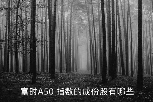  富時(shí)A50 指數(shù)的成份股有哪些