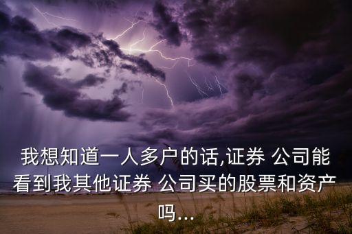 我想知道一人多戶的話,證券 公司能看到我其他證券 公司買(mǎi)的股票和資產(chǎn)嗎...