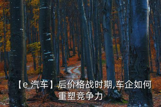 【e 汽車】后價格戰(zhàn)時期,車企如何重塑競爭力