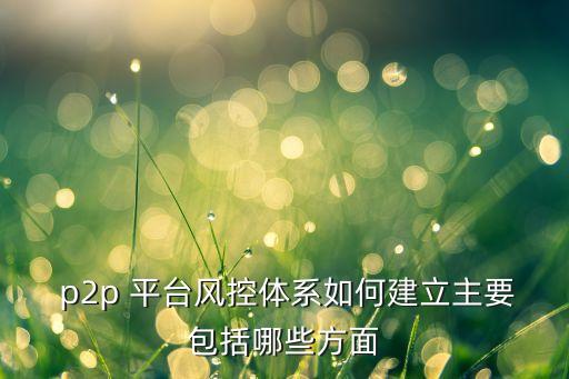  p2p 平臺(tái)風(fēng)控體系如何建立主要包括哪些方面