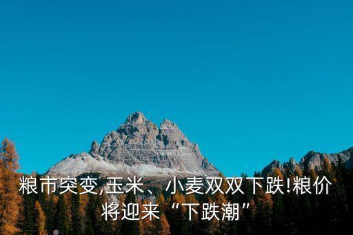 糧市突變,玉米、小麥雙雙下跌!糧價(jià)將迎來(lái)“下跌潮”