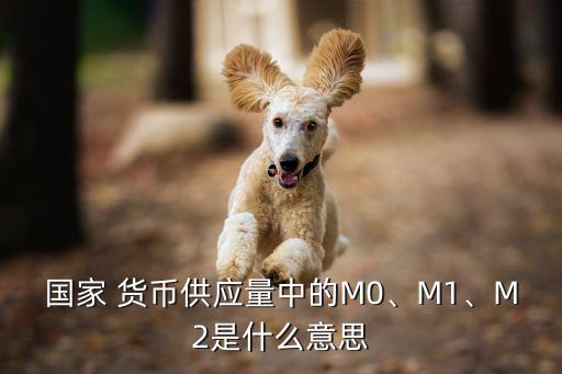 國家 貨幣供應(yīng)量中的M0、M1、M2是什么意思