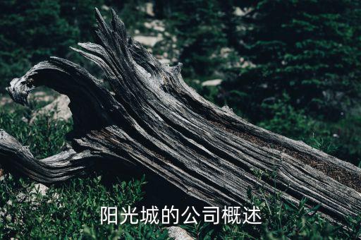 陽(yáng)光城的公司概述