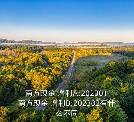  南方現(xiàn)金 增利A:202301 南方現(xiàn)金 增利B:202302有什么不同