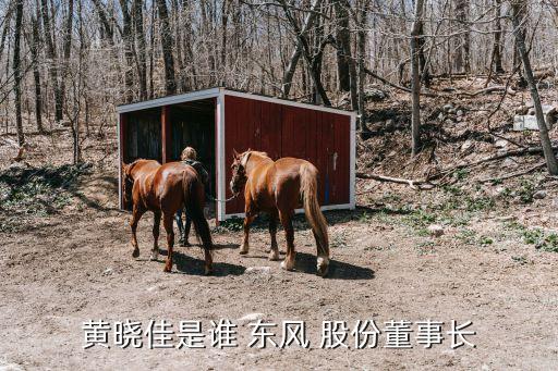 黃曉佳是誰 東風(fēng) 股份董事長(zhǎng)